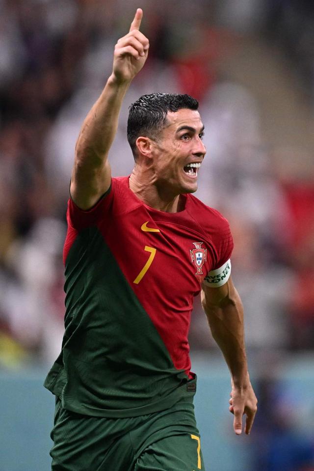 Steam100%好评认证！《幻想乡：有罪推定~夜明前的三色堇》20小时DEMO现已开放！